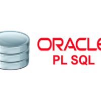 PL/SQL