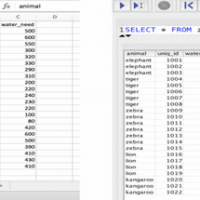 SQL for data analysis