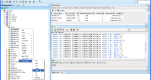 Oracle DUMP function