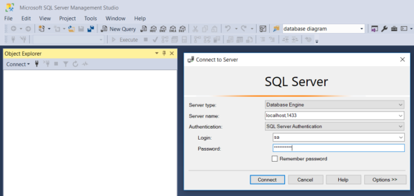 Creating a database in Microsoft SQL Server - instruction for beginners